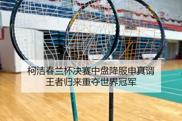 ke-jie-chun-lan-bei-jue-sai-zhong-pan-xiang-fu-shen-zhen-xu-wang-zhe-gui-lai-zhong-duo-shi-jie-guan-jun-2-425.jpg